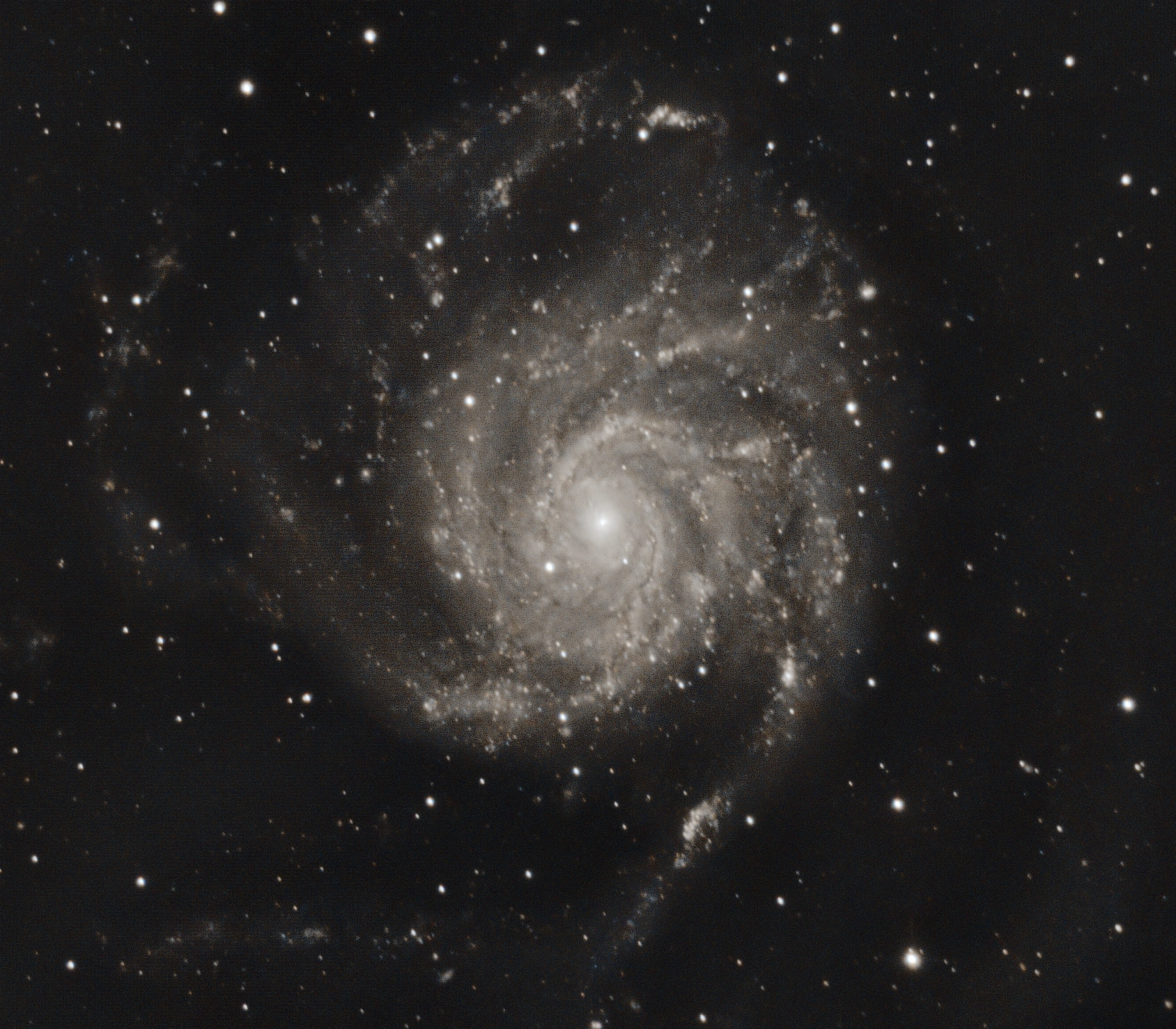 Pinwheel Galaxy M101